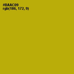 #BAAC09 - Sahara Color Image