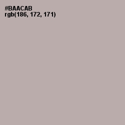 #BAACAB - Silk Color Image