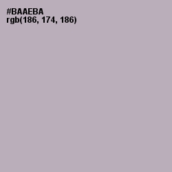 #BAAEBA - Pink Swan Color Image