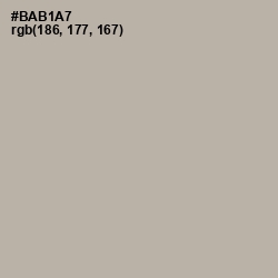 #BAB1A7 - Nomad Color Image