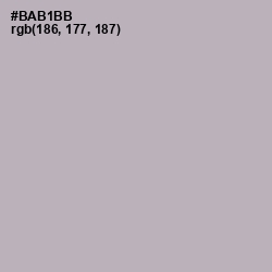 #BAB1BB - Pink Swan Color Image