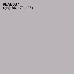 #BAB3B7 - Pink Swan Color Image