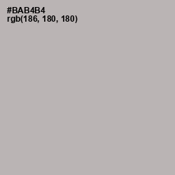 #BAB4B4 - Pink Swan Color Image