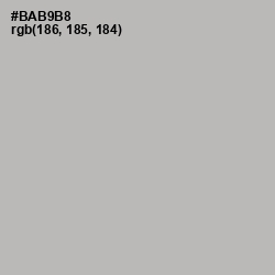 #BAB9B8 - Pink Swan Color Image