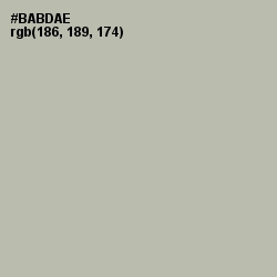 #BABDAE - Eagle Color Image