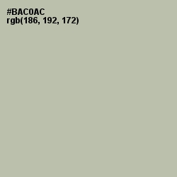 #BAC0AC - Rainee Color Image