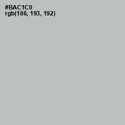 #BAC1C0 - Silver Sand Color Image