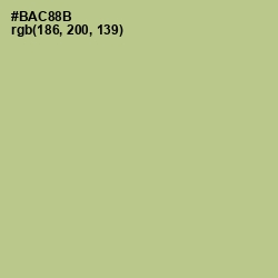 #BAC88B - Rainee Color Image