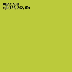 #BACA3B - Key Lime Pie Color Image