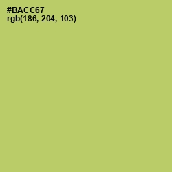 #BACC67 - Wild Willow Color Image