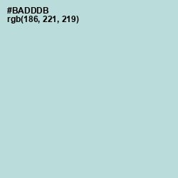 #BADDDB - Jungle Mist Color Image