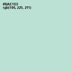 #BAE1D3 - Cruise Color Image