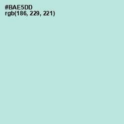 #BAE5DD - Cruise Color Image