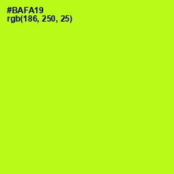 #BAFA19 - Inch Worm Color Image