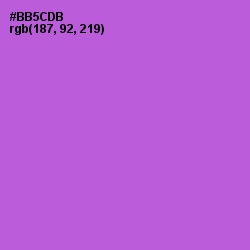 #BB5CDB - Lavender Color Image