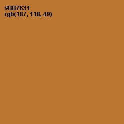 #BB7631 - Copper Color Image
