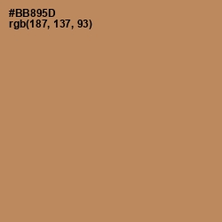 #BB895D - Muddy Waters Color Image