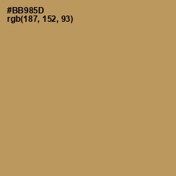 #BB985D - Muddy Waters Color Image