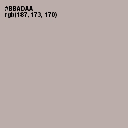 #BBADAA - Silk Color Image