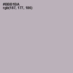 #BBB1BA - Pink Swan Color Image