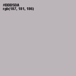 #BBB5BA - Pink Swan Color Image