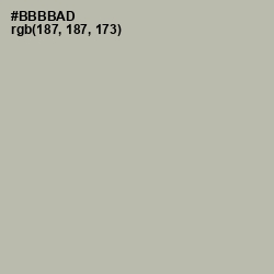 #BBBBAD - Eagle Color Image