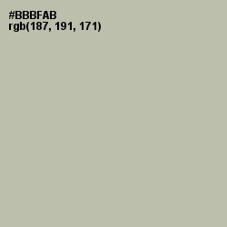 #BBBFAB - Eagle Color Image