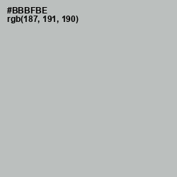 #BBBFBE - Pink Swan Color Image