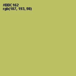 #BBC162 - Wild Willow Color Image