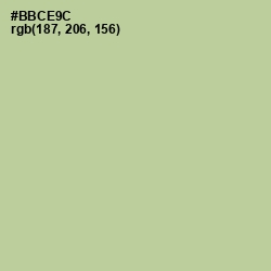 #BBCE9C - Rainee Color Image