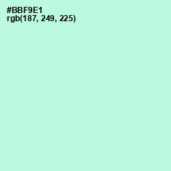 #BBF9E1 - Ice Cold Color Image