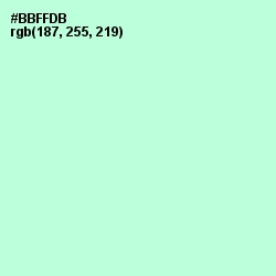 #BBFFDB - Cruise Color Image