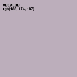 #BCAEBB - Pink Swan Color Image