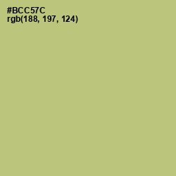 #BCC57C - Wild Willow Color Image