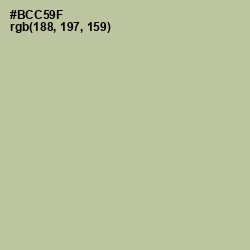 #BCC59F - Rainee Color Image