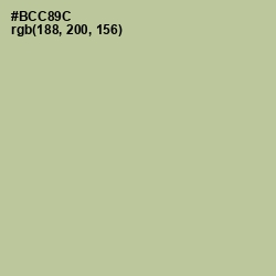 #BCC89C - Rainee Color Image