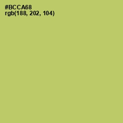 #BCCA68 - Wild Willow Color Image