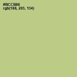 #BCCB86 - Feijoa Color Image