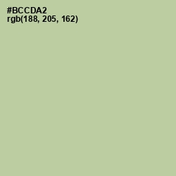 #BCCDA2 - Rainee Color Image