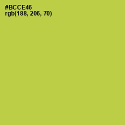 #BCCE46 - Conifer Color Image