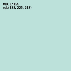 #BCE1DA - Cruise Color Image