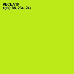 #BCEA18 - Inch Worm Color Image