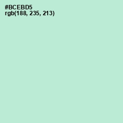 #BCEBD5 - Cruise Color Image