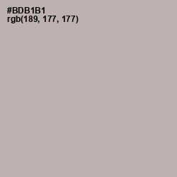 #BDB1B1 - Pink Swan Color Image