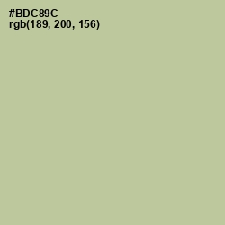 #BDC89C - Rainee Color Image