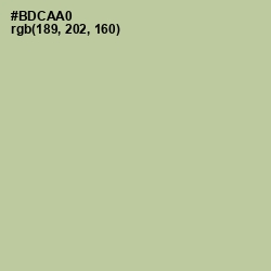 #BDCAA0 - Rainee Color Image
