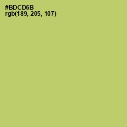 #BDCD6B - Wild Willow Color Image