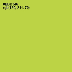 #BDD346 - Conifer Color Image