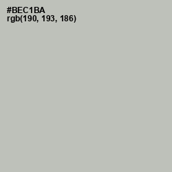 #BEC1BA - Clay Ash Color Image