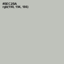 #BEC2BA - Clay Ash Color Image